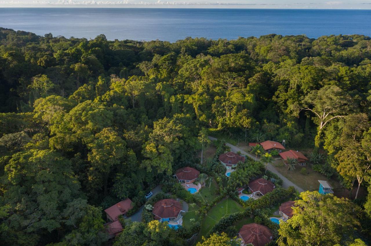 Lomas Del Caribe Villa Puerto Viejo de Talamanca Bagian luar foto